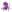 logo Violettes Bressanes