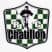 logo club RC Chatillonnais