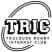 logo club Toulouse Rugby Internat Club