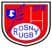 logo club Stade Ol Rosneen