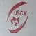 logo club US Castelnau En Madiranais