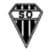 logo club Semeac Ol